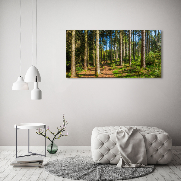 Photo printed on glass Panorama of the forest