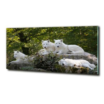 Glass wall art White wolves rock