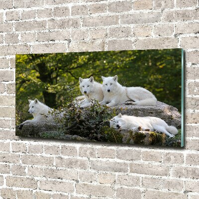 Glass wall art White wolves rock