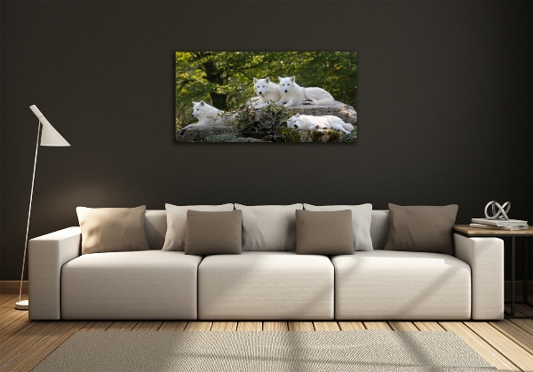 Glass wall art White wolves rock