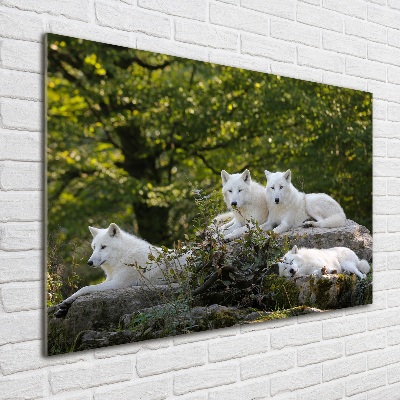 Glass wall art White wolves rock