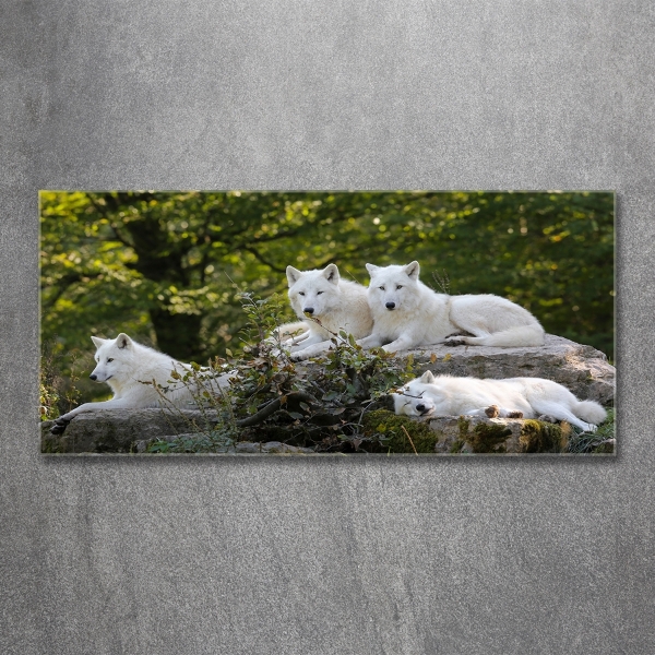 Glass wall art White wolves rock