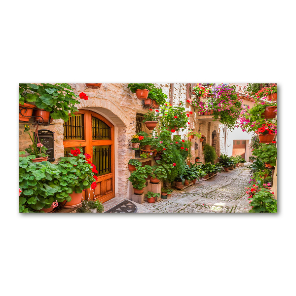 Printed glass wall art Charming street