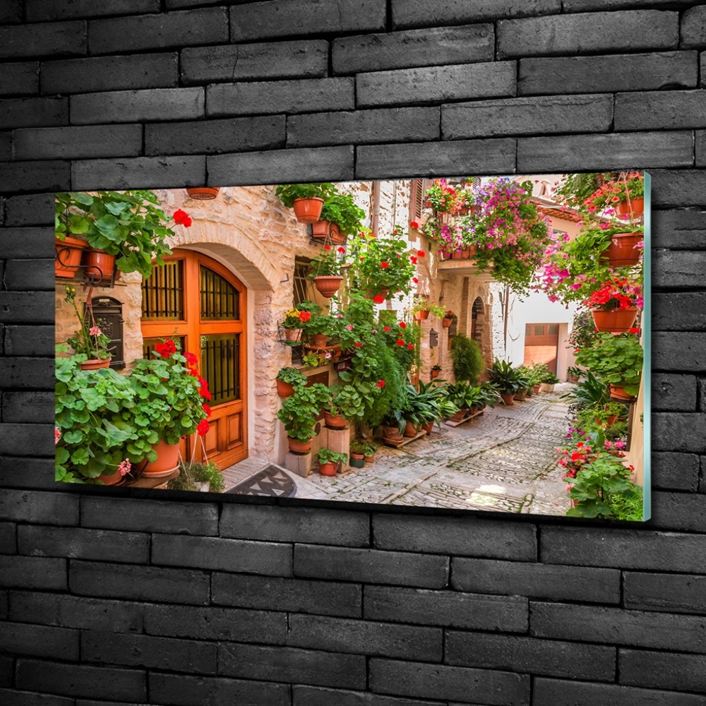 Printed glass wall art Charming street