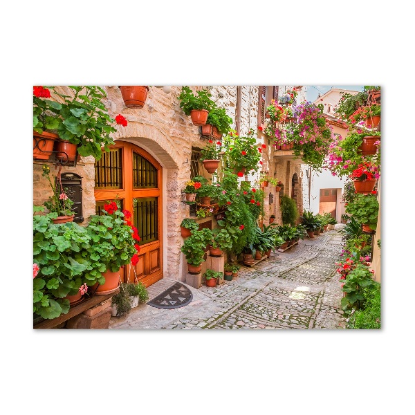 Printed glass wall art Charming street