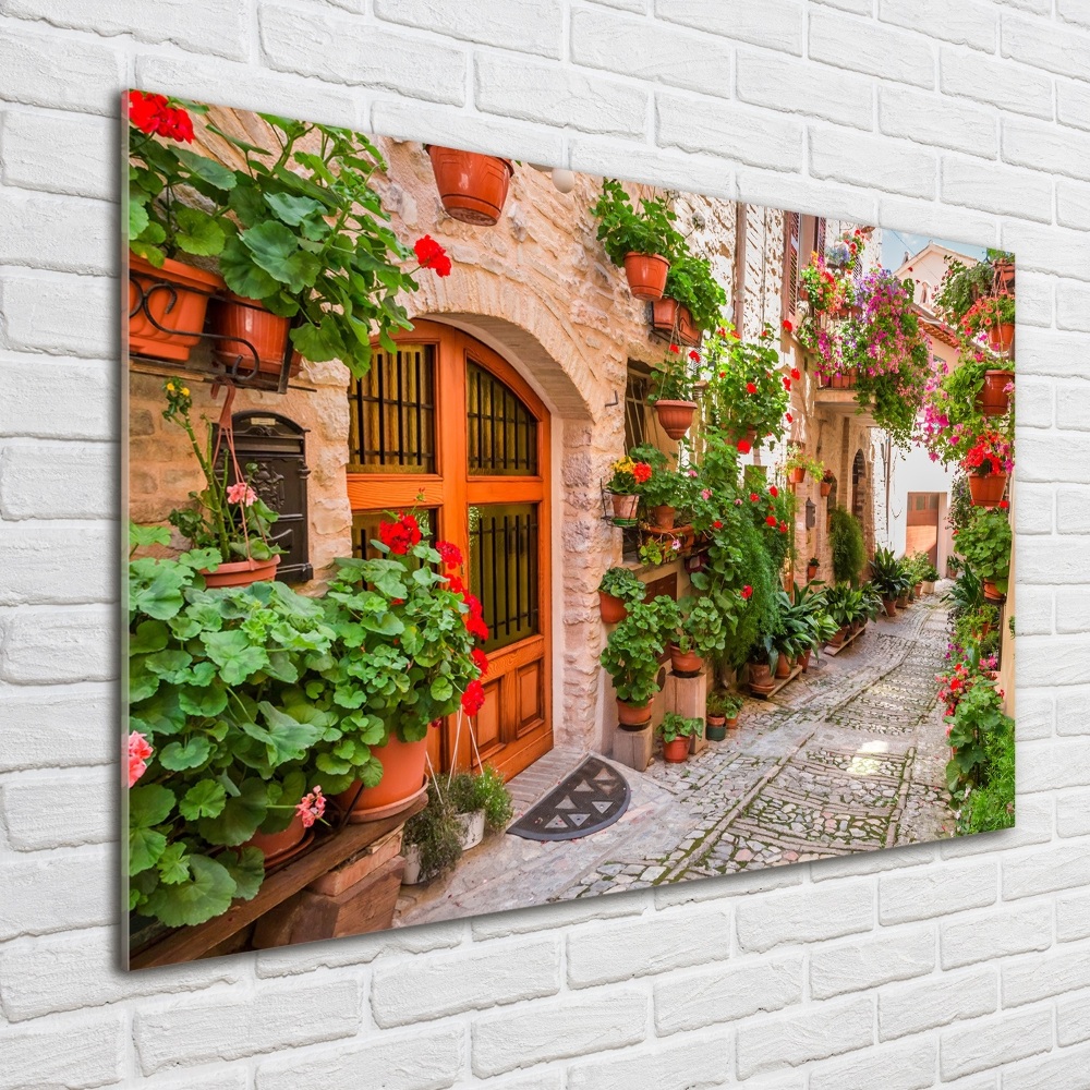 Printed glass wall art Charming street