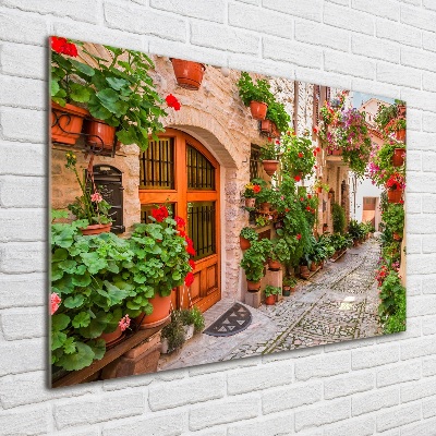 Printed glass wall art Charming street