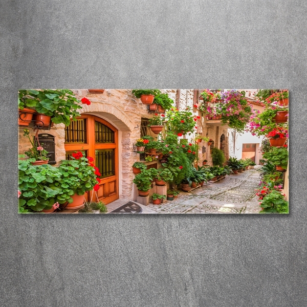 Printed glass wall art Charming street