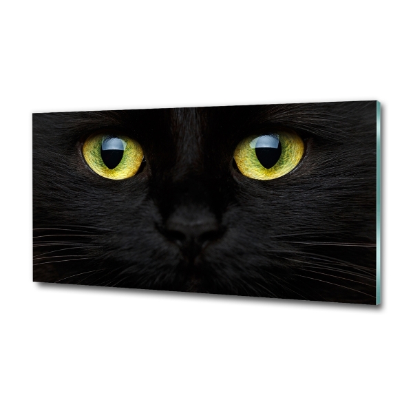 Glass wall art Cat's eyes