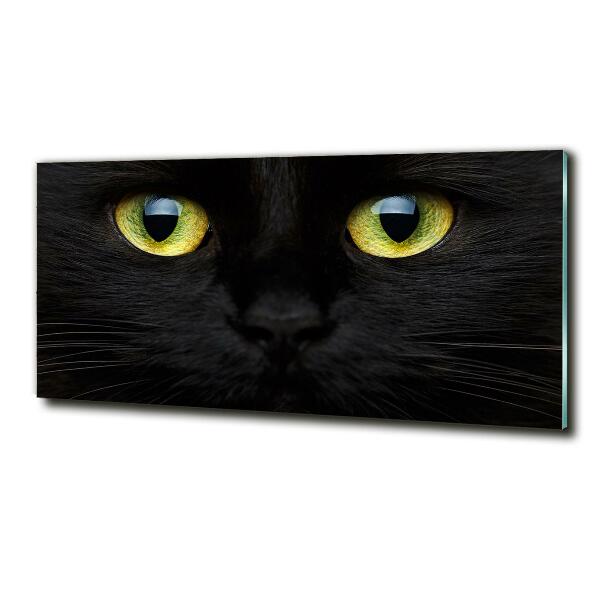 Glass wall art Cat's eyes