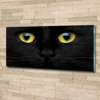 Glass wall art Cat's eyes