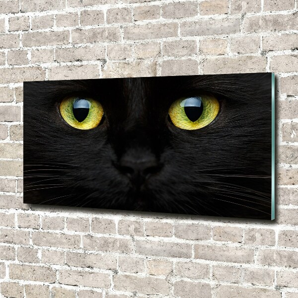 Glass wall art Cat's eyes