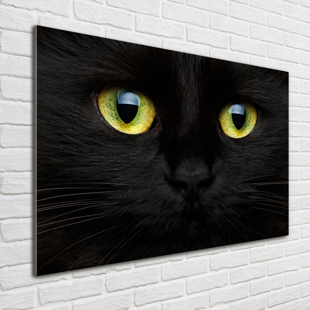 Glass wall art Cat's eyes