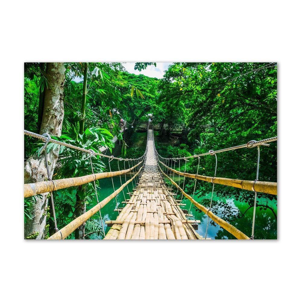 Glass wall art large Tropical forest bridge