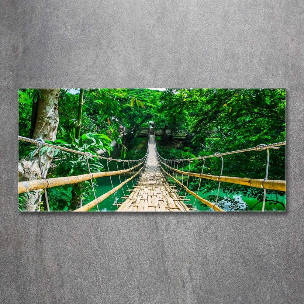 Glass wall art large Tropical forest bridge