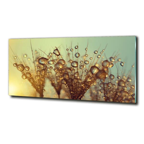 Glass art print Dandelion seeds