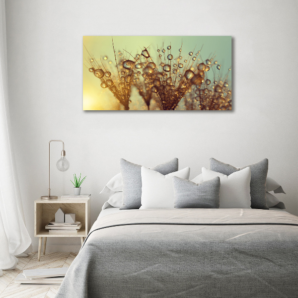 Glass art print Dandelion seeds