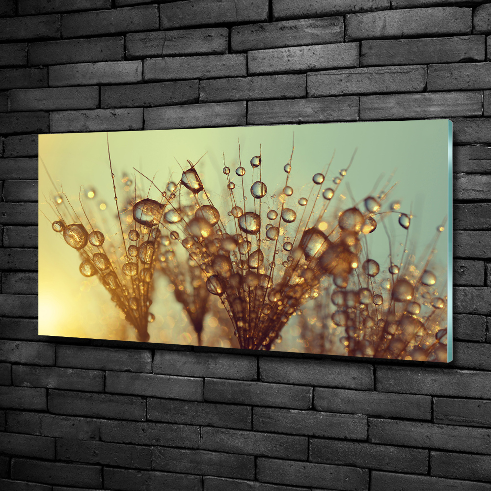 Glass art print Dandelion seeds