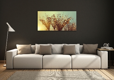 Glass art print Dandelion seeds