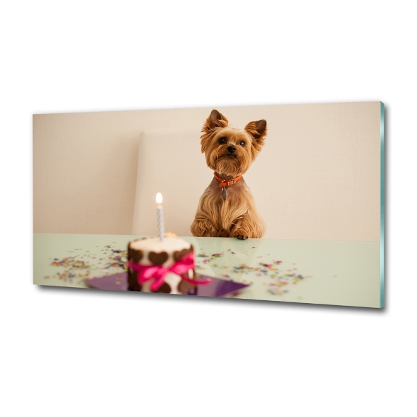 Wall art on glass Dog with a cake