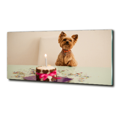 Wall art on glass Dog with a cake