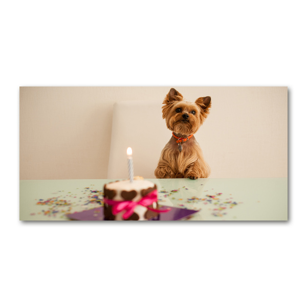 Wall art on glass Dog with a cake