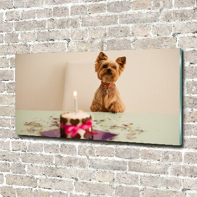 Wall art on glass Dog with a cake