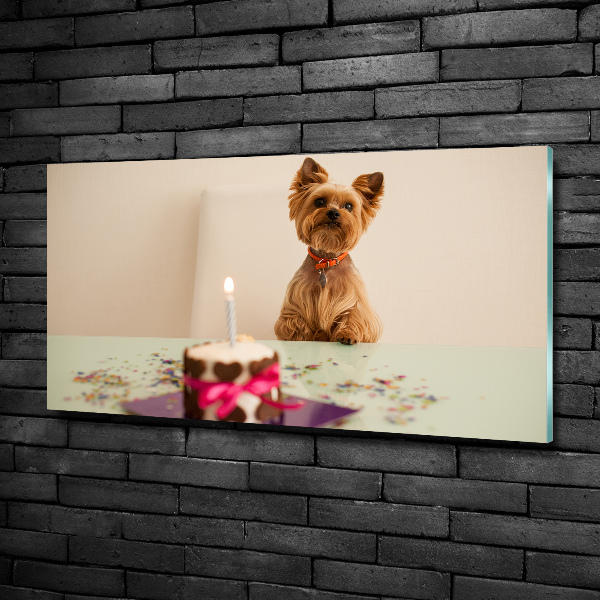 Wall art on glass Dog with a cake