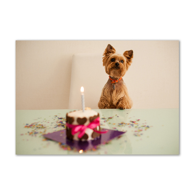 Wall art on glass Dog with a cake