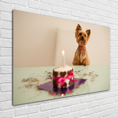 Wall art on glass Dog with a cake