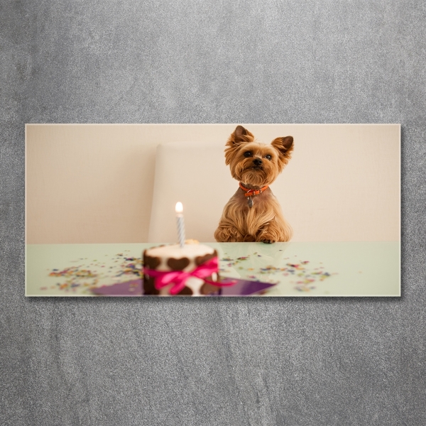 Wall art on glass Dog with a cake