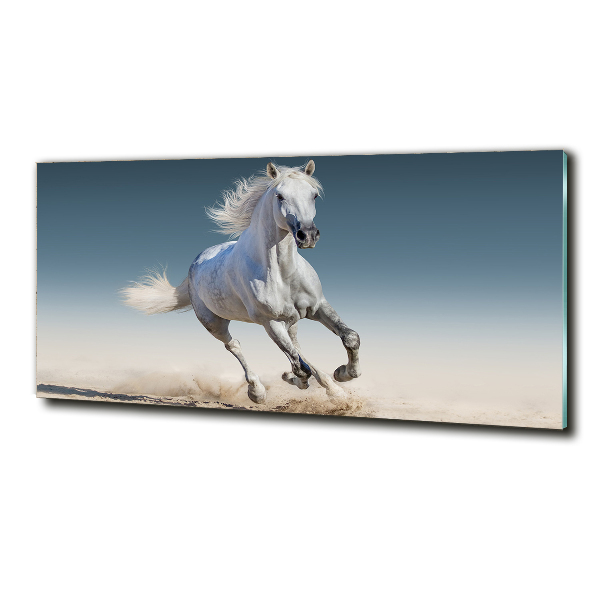 Glass art print White horse at a gallop