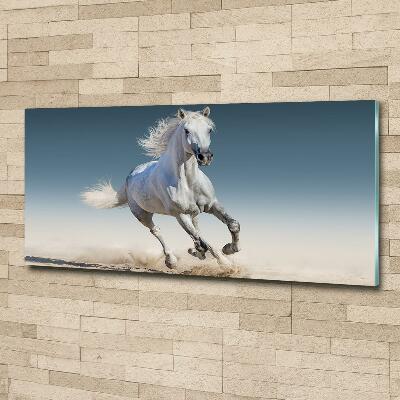 Glass art print White horse at a gallop