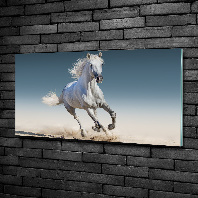 Glass art print White horse at a gallop