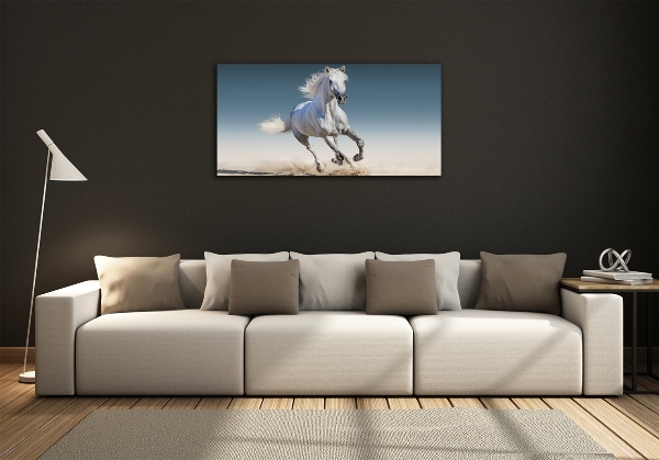 Glass art print White horse at a gallop