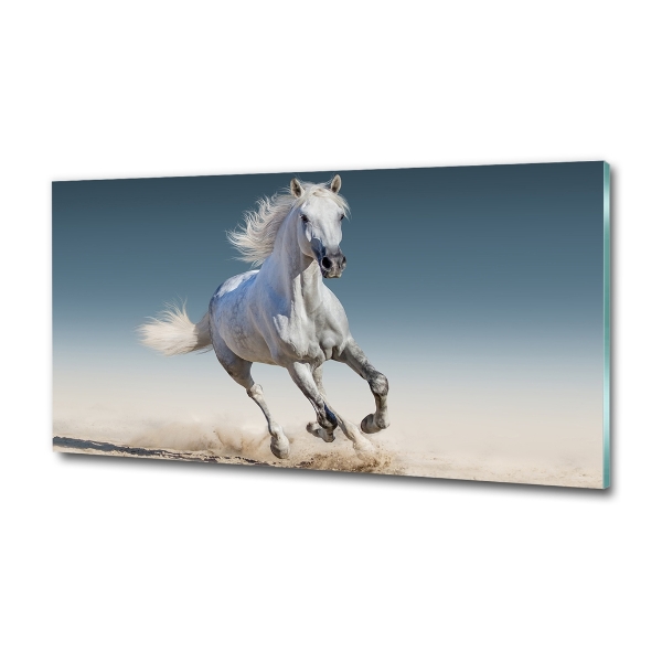 Glass art print White horse at a gallop