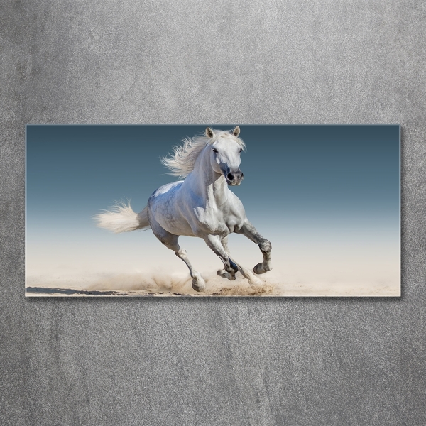 Glass art print White horse at a gallop