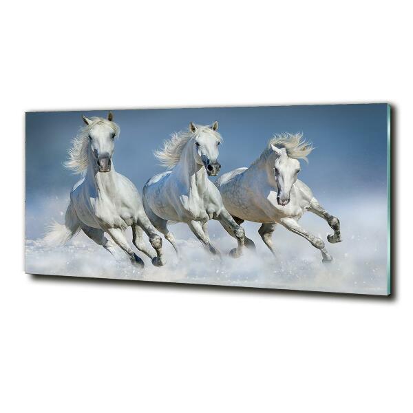 Wall art on glass Horses at gallop