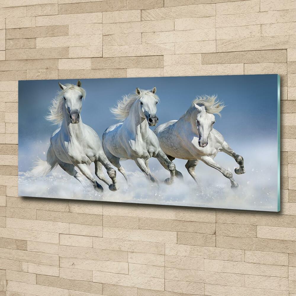 Wall art on glass Horses at gallop