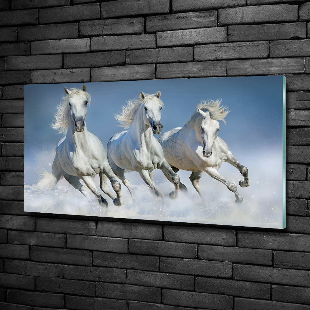 Wall art on glass Horses at gallop