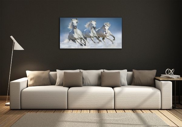 Wall art on glass Horses at gallop