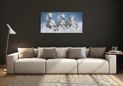 Wall art on glass Horses at gallop