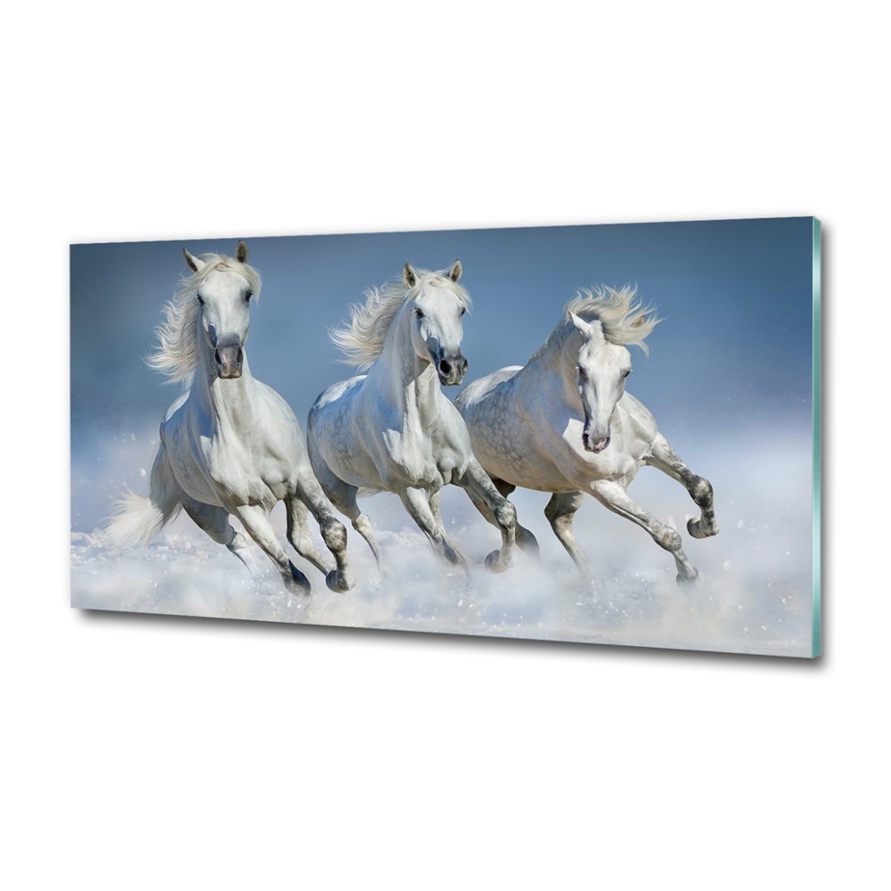 Wall art on glass Horses at gallop