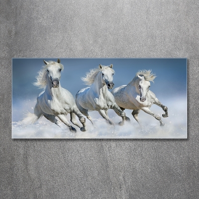 Wall art on glass Horses at gallop