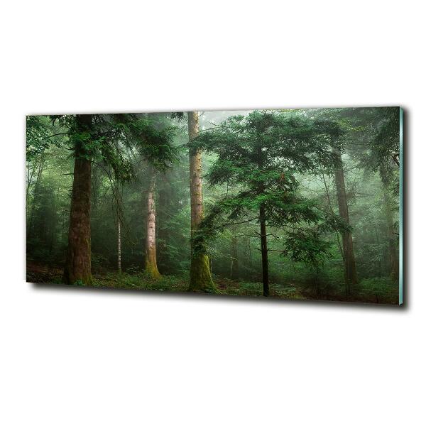 Glass picture wall art Fog in the forest