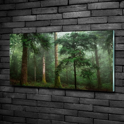 Glass picture wall art Fog in the forest