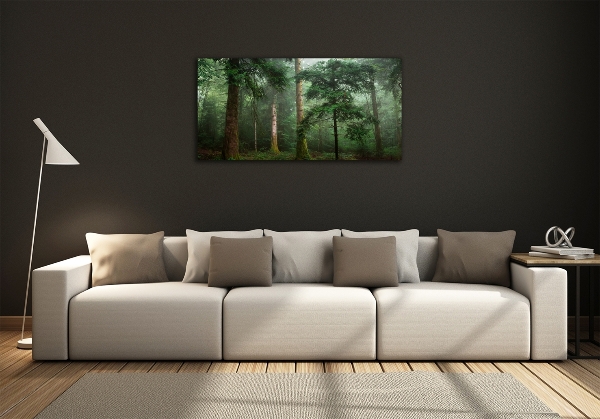 Glass picture wall art Fog in the forest