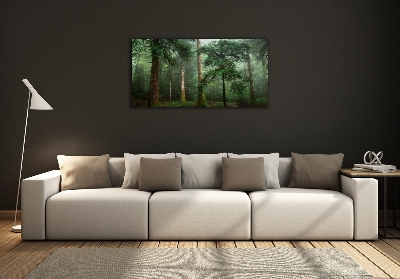 Glass picture wall art Fog in the forest