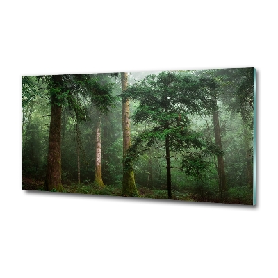 Glass picture wall art Fog in the forest