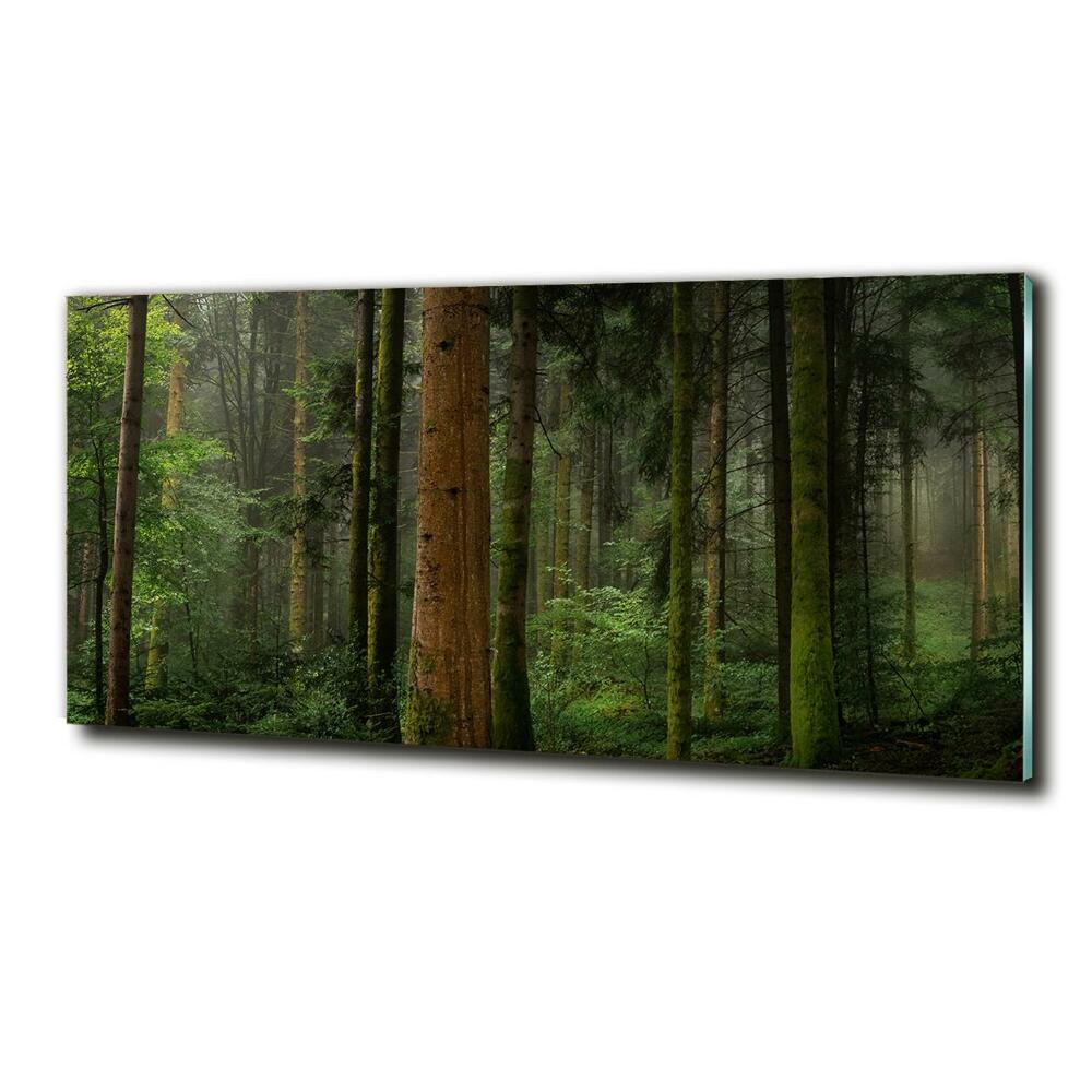 Photo printed on glass Fog in the forest